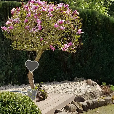 Auszeit Am Wildkatzenpfad Διαμέρισμα