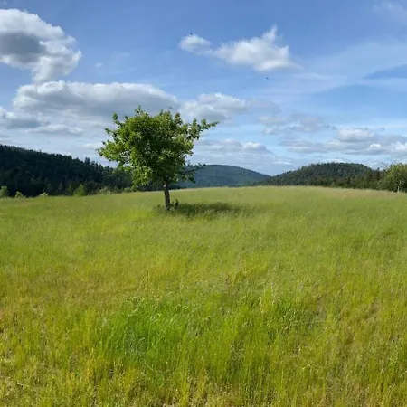 Apartment Auszeit Am Wildkatzenpfad *