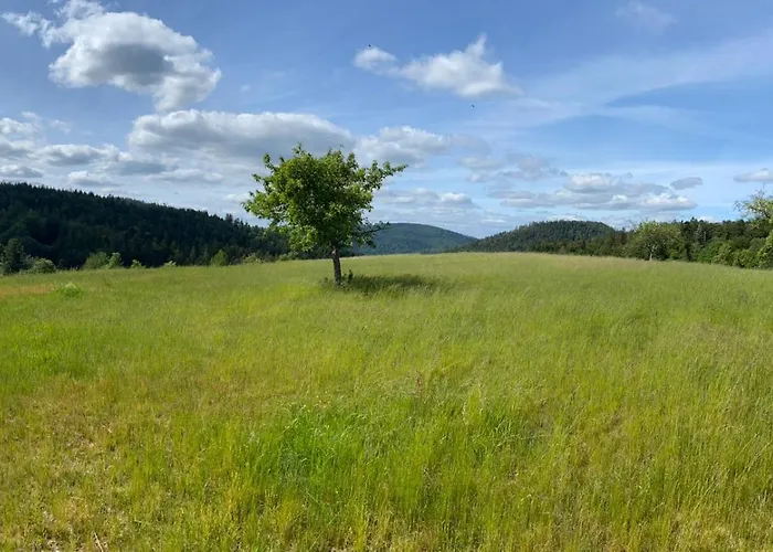 Auszeit Am Wildkatzenpfad *