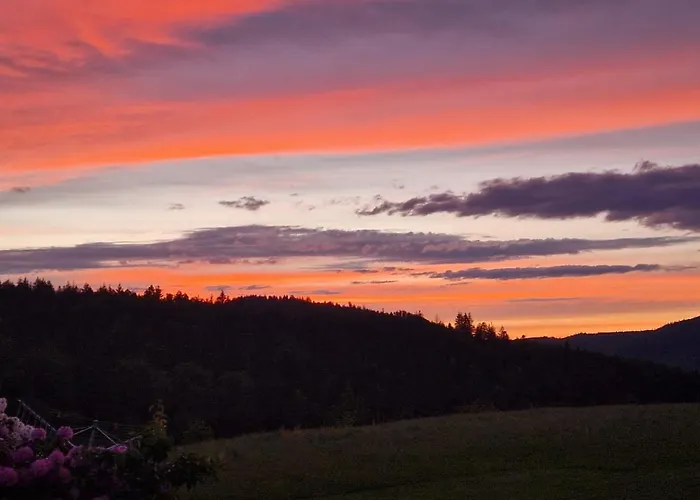 Auszeit Am Wildkatzenpfad * Bad Herrenalb